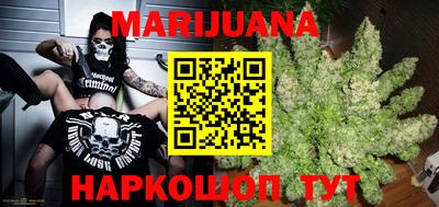 шишки Аша