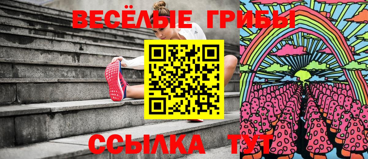 Галлюциногенные грибы MAGIC MUSHROOMS  Вход с VPN  Кириши 